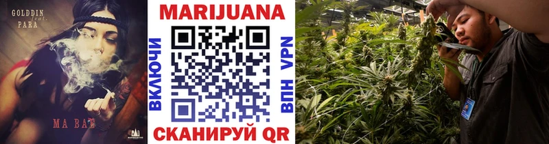 Каннабис планчик  Купить  Томари 
